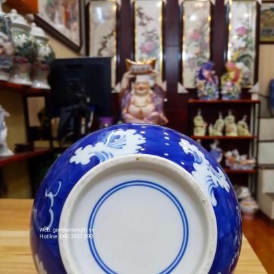 Bình Cổ Hút Thanh Long Vượt Biển